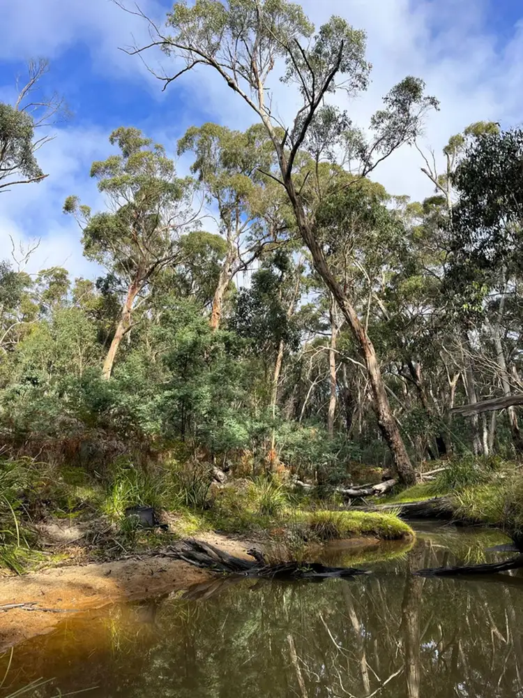 Main view of Homely rural property listing, Hardings Road, Nulla Vale VIC 3435