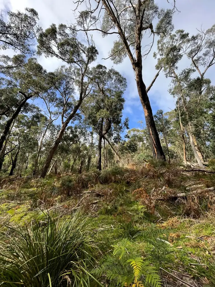 Third view of Homely rural property listing, Hardings Road, Nulla Vale VIC 3435