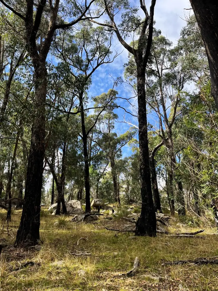 Fourth view of Homely rural property listing, Hardings Road, Nulla Vale VIC 3435