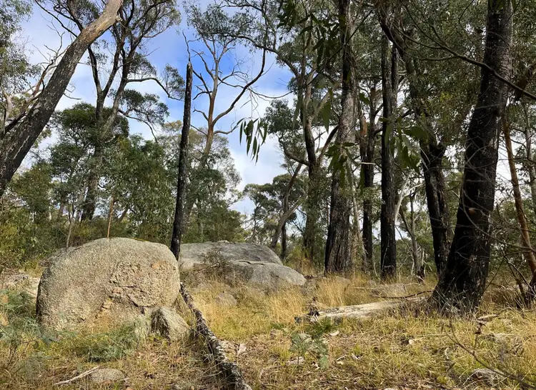 Fifth view of Homely rural property listing, Hardings Road, Nulla Vale VIC 3435