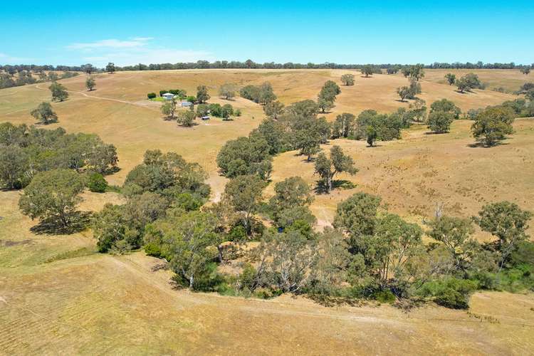 Third view of Homely livestock listing, 219 Gibsons Road, Tarrayoukyan VIC 3315