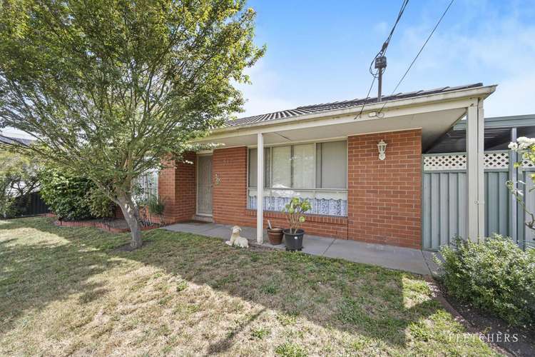 Main view of Homely house listing, 517 Havelock Street, Soldiers Hill VIC 3350
