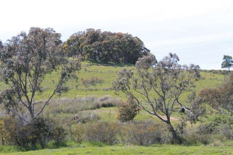 Main view of Homely ruralOther listing, 115 Maynes Lane, Glenhope VIC 3444
