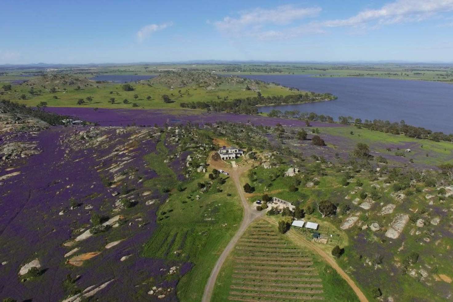 Main view of Homely house listing, 24 Back Cairn Curran Road, Baringhup VIC 3463