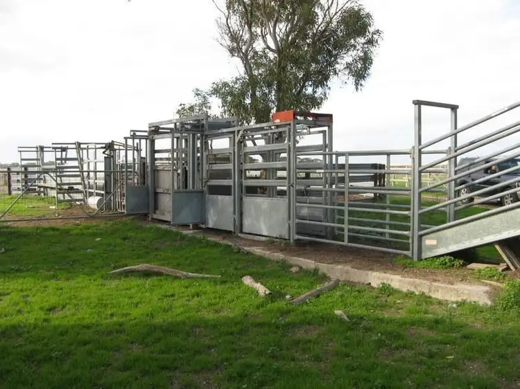 Seventh view of Homely rural property listing, 158 Chetwynd Lane, Wattle Range SA 5280
