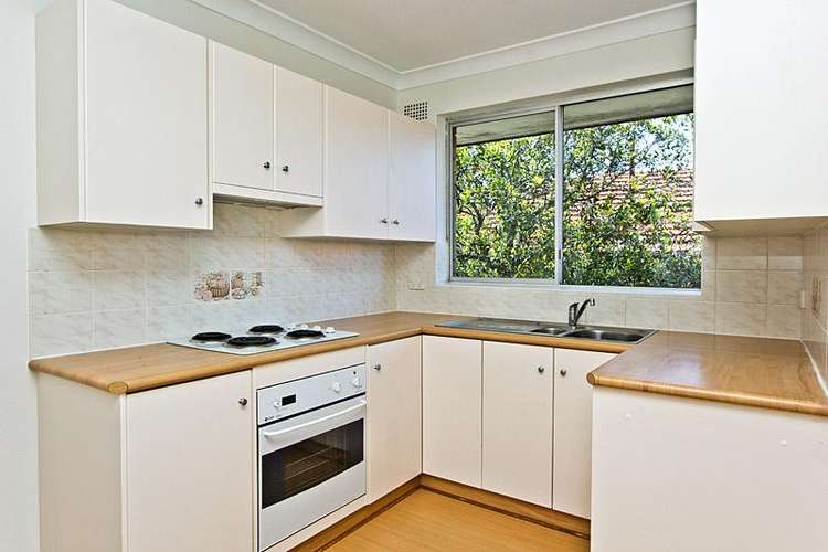 Fifth view of Homely apartment listing, 6/14 Orpington Street, Ashfield NSW 2131