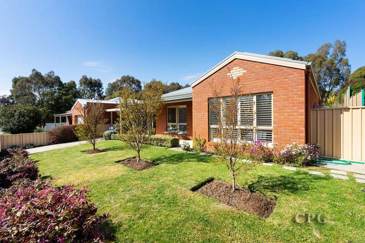 Main view of Homely unit listing, 164 Duke Street, Castlemaine VIC 3450
