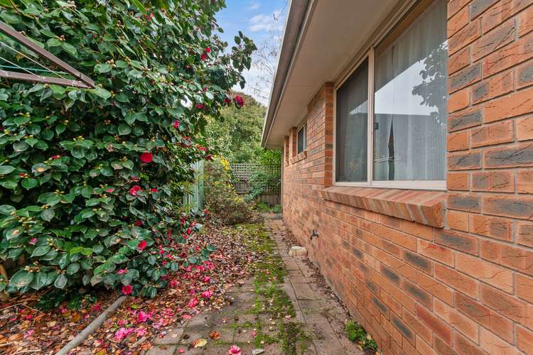 Fourth view of Homely unit listing, Unit 3/30 Elgin St, Morwell VIC 3840