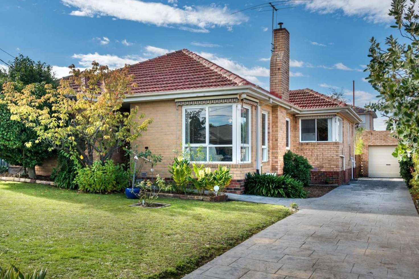 Main view of Homely house listing, 19 Maude Street, Box Hill North VIC 3129