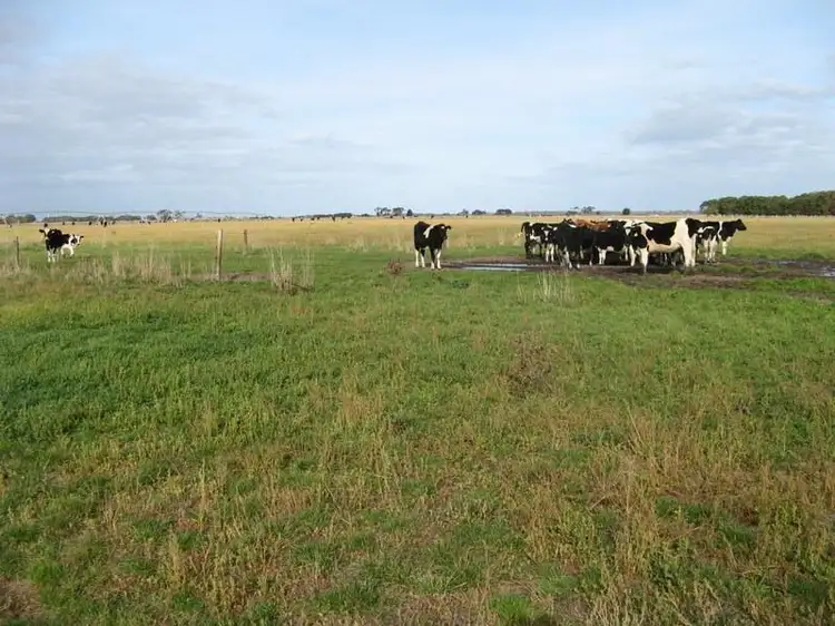 Second view of Homely rural property listing, 158 Chetwynd Lane, Wattle Range SA 5280