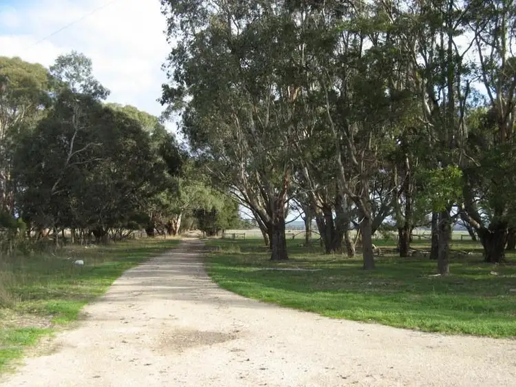 Fifth view of Homely rural property listing, 158 Chetwynd Lane, Wattle Range SA 5280