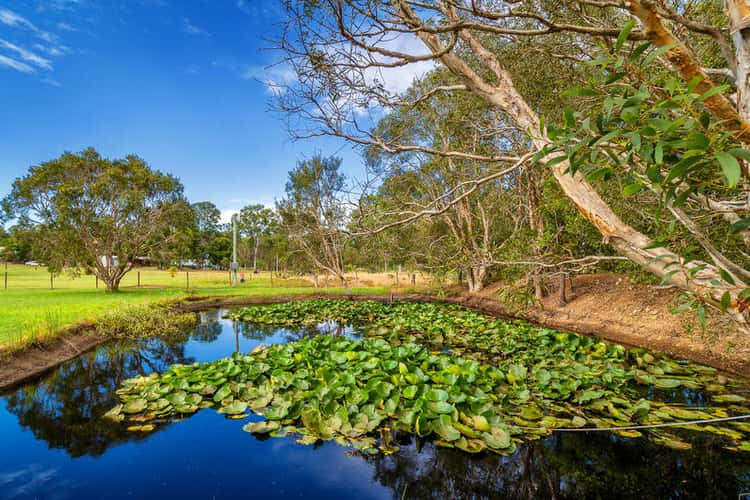 Sixth view of Homely house listing, 12 Rokeby Rd, Booral QLD 4655