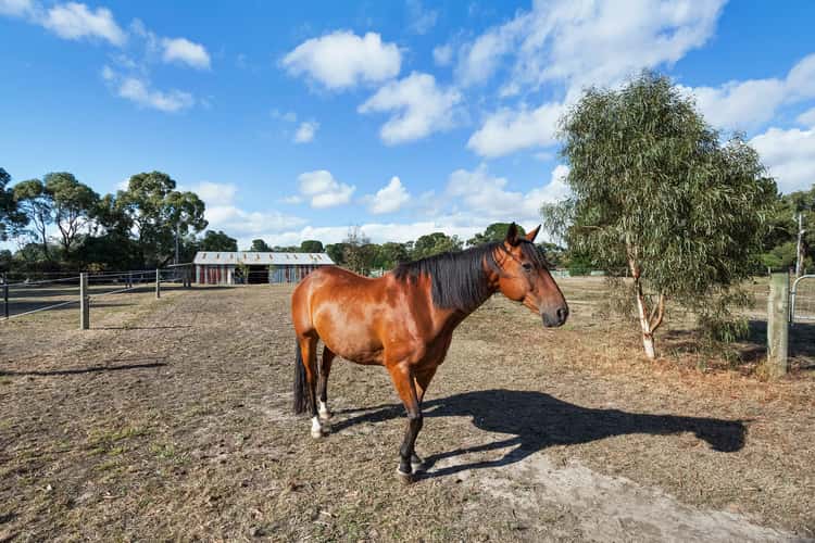 Sixth view of Homely acreageSemiRural listing, 221 Myers Road, Balnarring VIC 3926