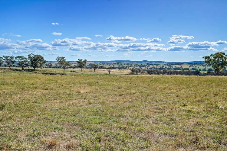 LOT 11 Stapletons Road, Molong NSW 2866