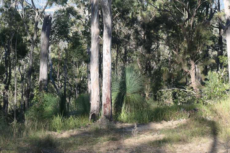 Fifth view of Homely lifestyle listing, LOT 11 Cyril Smith Circuit, Tabulam NSW 2469