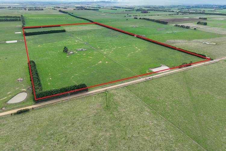 Main view of Homely livestock listing, 115 Collyers Road, Warncoort VIC 3243