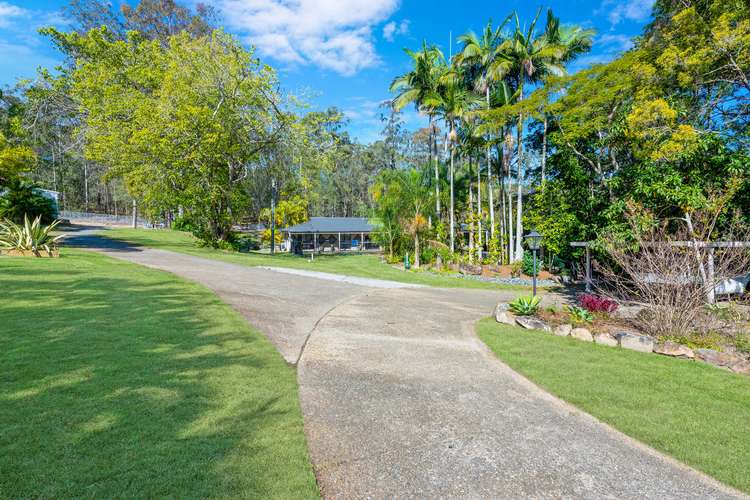 Main view of Homely house listing, 10 Oomool Court, Pimpama QLD 4209