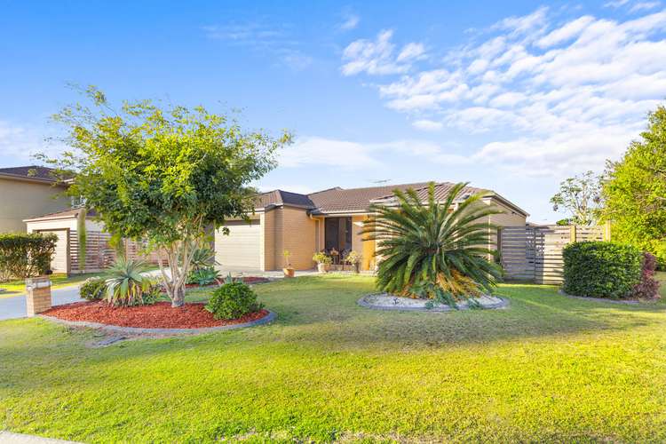 Main view of Homely house listing, 29 Macaranga Crescent, Carseldine QLD 4034