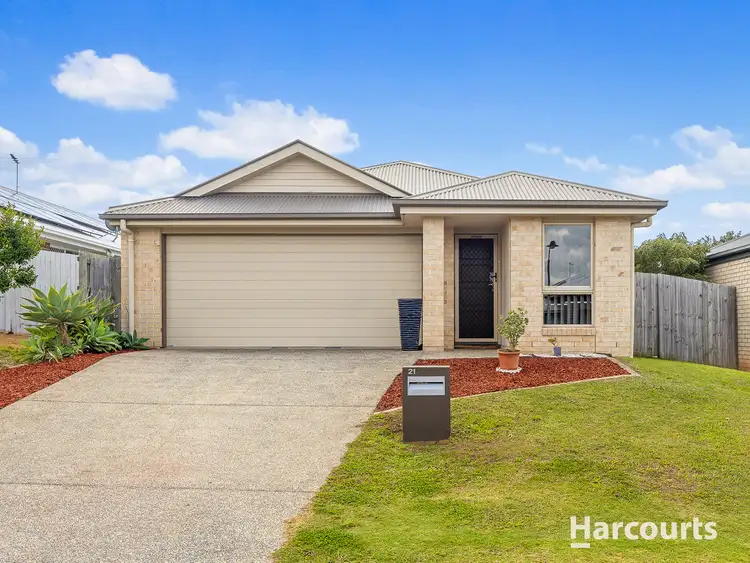 21 Mannikin Street