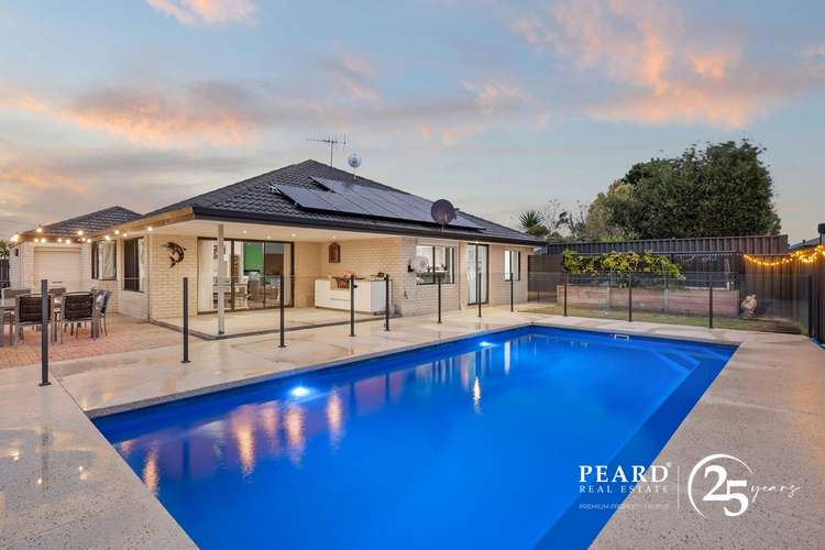 23 Media Crescent, Banksia Grove WA 6031