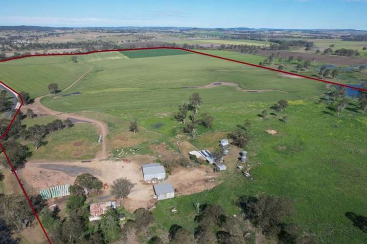 Main view of Homely cropping listing, 149 Airport Road, Monto QLD 4630
