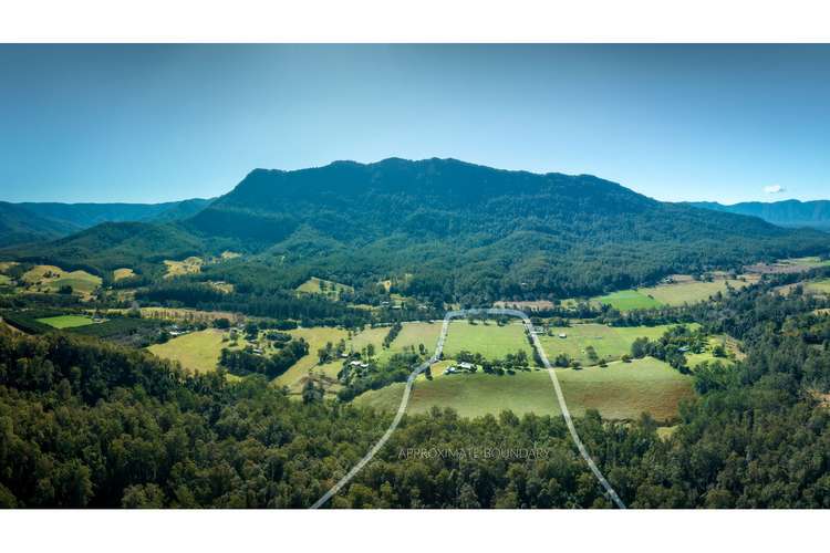 Main view of Homely horticulture listing, 2331 Waterfall Way, Bellingen NSW 2454