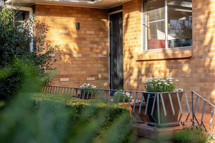 Main view of Homely house listing, 16 Talinga Street, Mount Lofty QLD 4350