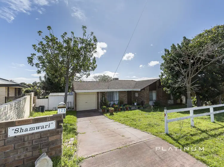 Main view of Homely house listing, 125 Camberwarra Drive, Craigie WA 6025