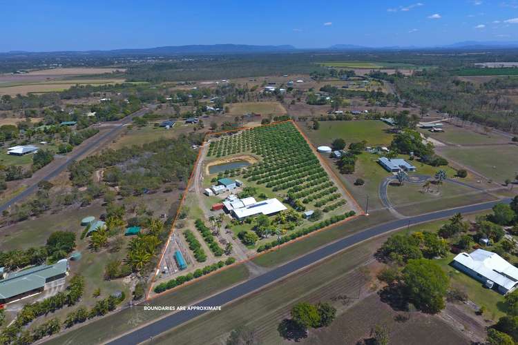 Main view of Homely house listing, 28 Facet Drive, Mareeba QLD 4880