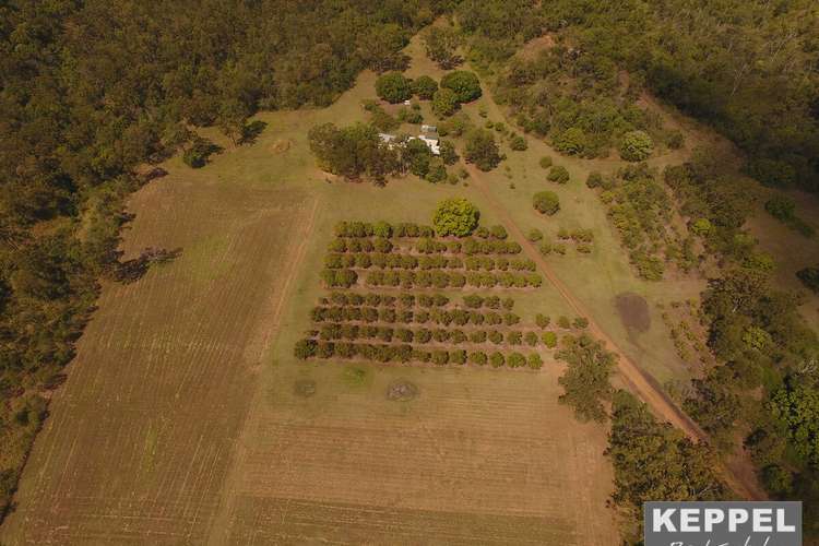 Main view of Homely mixedFarming listing, 84-94 Marries Road, Coowonga QLD 4702