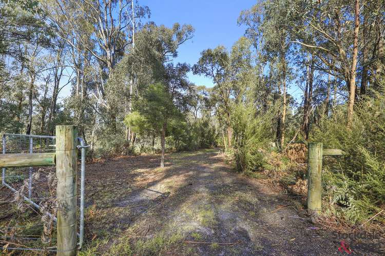Main view of Homely residentialLand listing, 224 Ricardo Road, Mirboo North VIC 3871