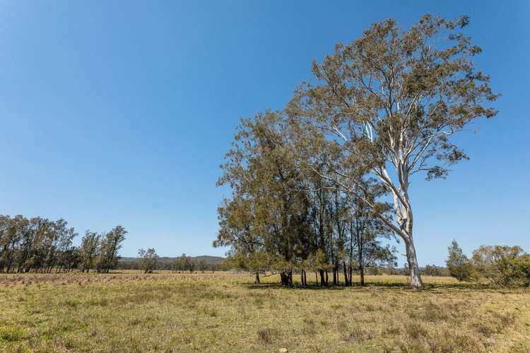 71 Red Root Road, Pillar Valley NSW 2462