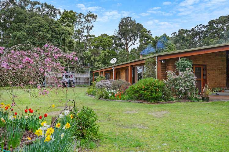 135 Bushbys Road, Barongarook VIC 3249