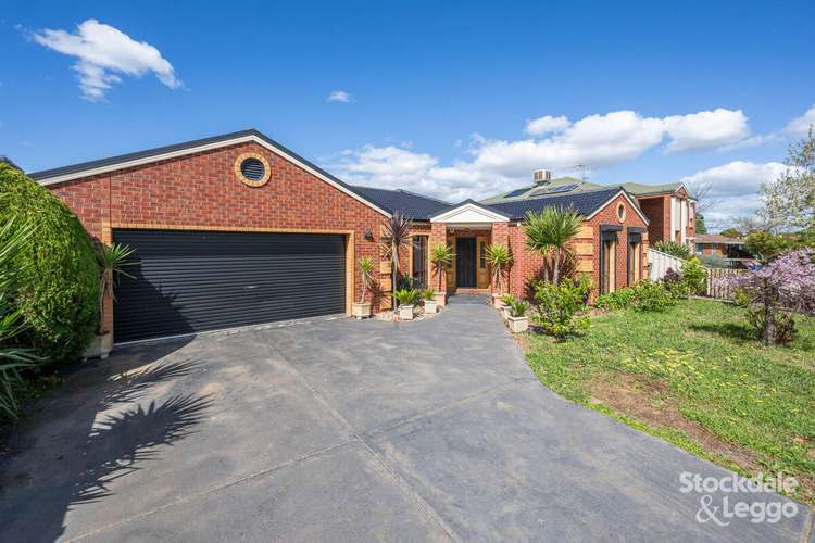 Main view of Homely house listing, 17 Banks Place, Shepparton VIC 3630