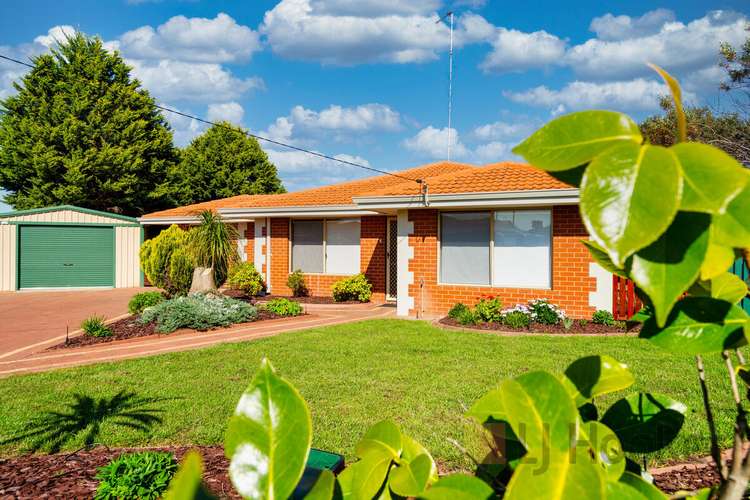 Main view of Homely house listing, 3 Banksia Place, Manjimup WA 6258
