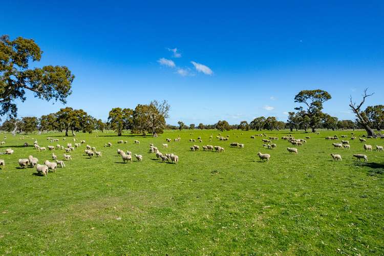 Third view of Homely mixedFarming listing, 102 Hillman Road, Middle Creek VIC 3375