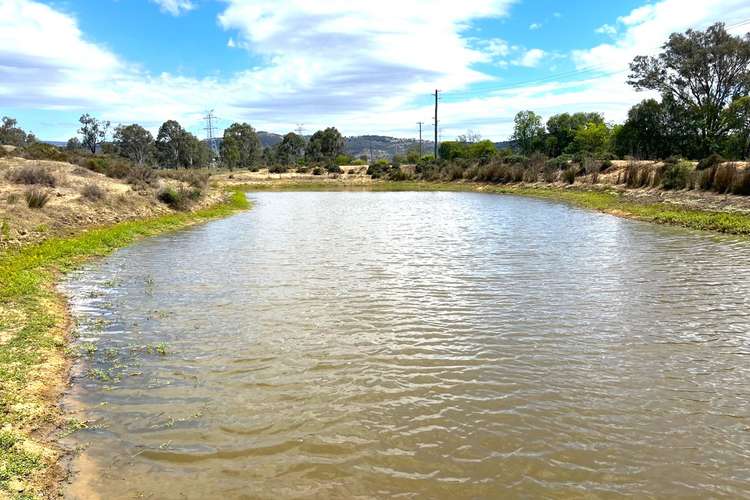 Main view of Homely livestock listing, Lot 151 Old Mulgowie Road, Laidley South QLD 4341