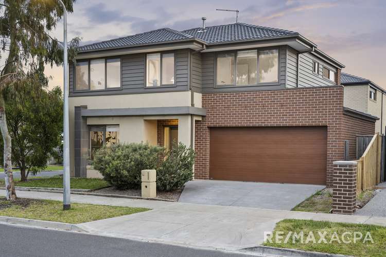 54 Festival Drive, Point Cook VIC 3030