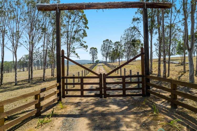 Main view of Homely livestock listing, 8040 Bruxner Highway, Tabulam NSW 2469
