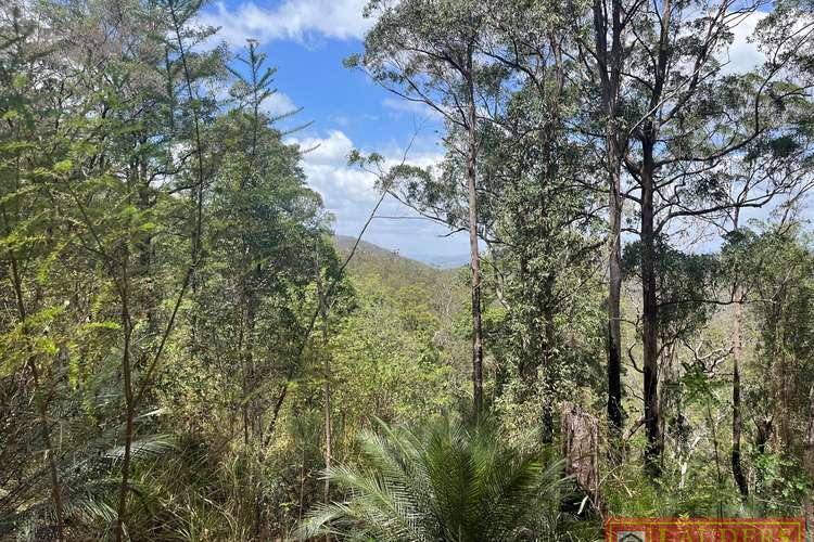 Connollys Creek Road, Mount George NSW 2424