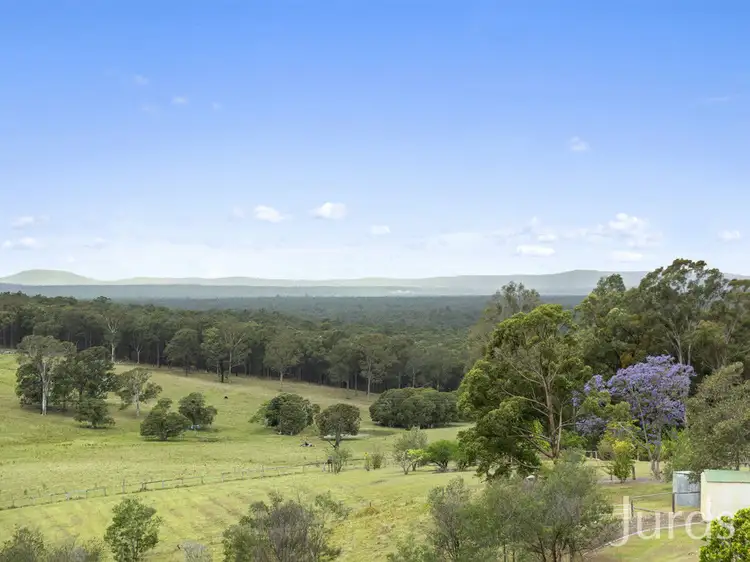 Second view of Homely rural property listing, 42 Pyne Way, Mount View NSW 2325
