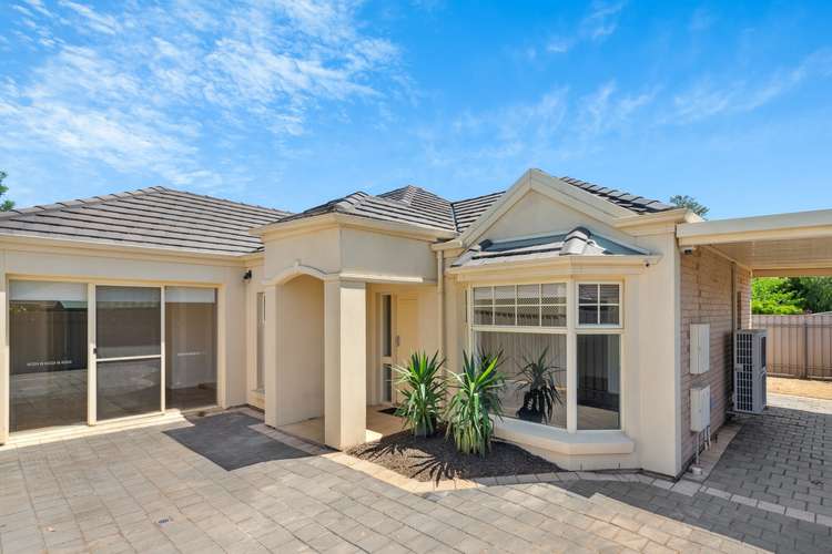 58A Brooker Terrace, Richmond SA 5033