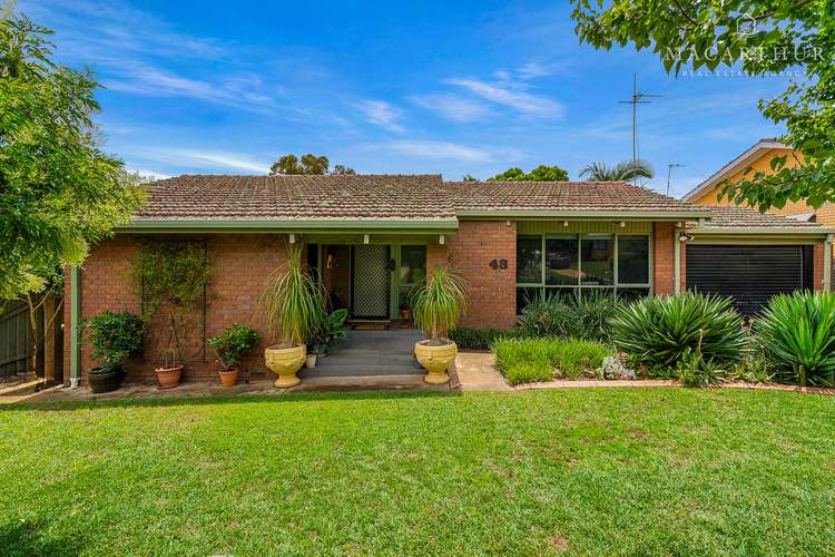 43 Alexander Street, Ashmont NSW 2650