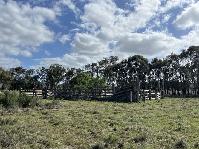 Lot 98 Featherstone Road, Marmor QLD 4702