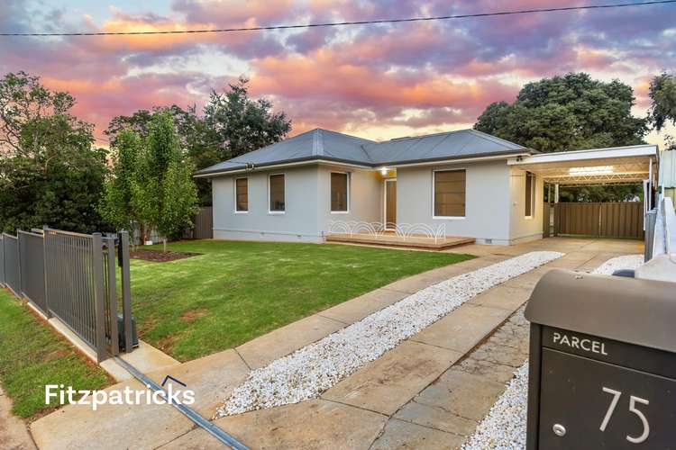 75 Bourke Street, Turvey Park NSW 2650