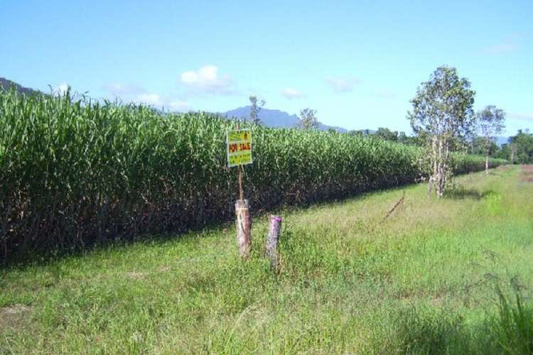 Main view of Homely ruralOther listing, Copleys Road, Abergowrie QLD 4850