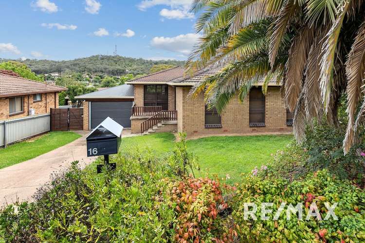 Main view of Homely house listing, 16 Malumba Crescent, Kooringal NSW 2650