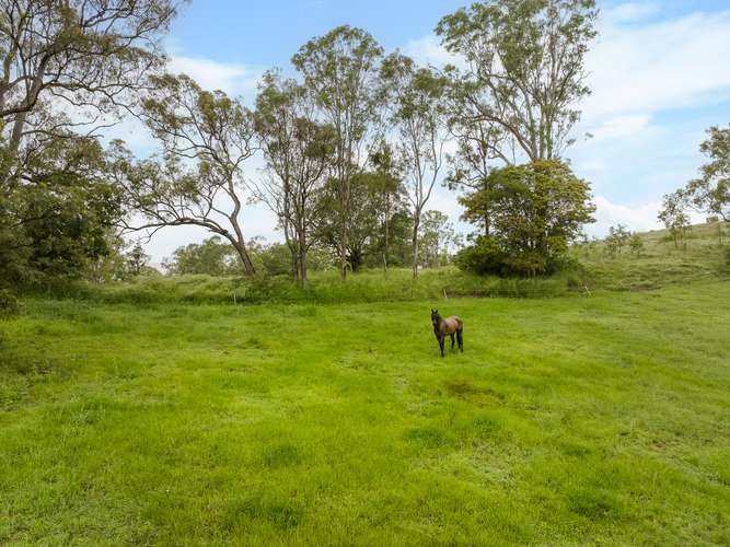 Sixth view of Homely acreageSemiRural listing, 22 Mcmullen Road, Brookfield QLD 4069