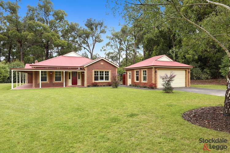 Main view of Homely acreageSemiRural listing, 19 Golf Links Drive, Mirboo North VIC 3871