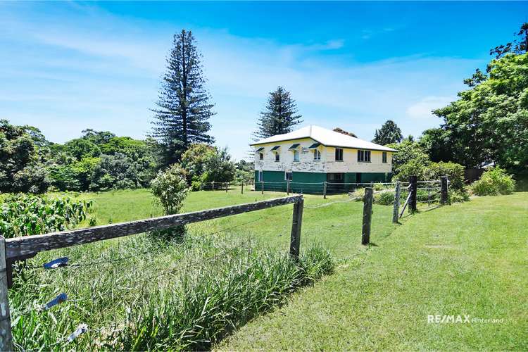 Main view of Homely house listing, 19 Tamarind Street, Maleny QLD 4552